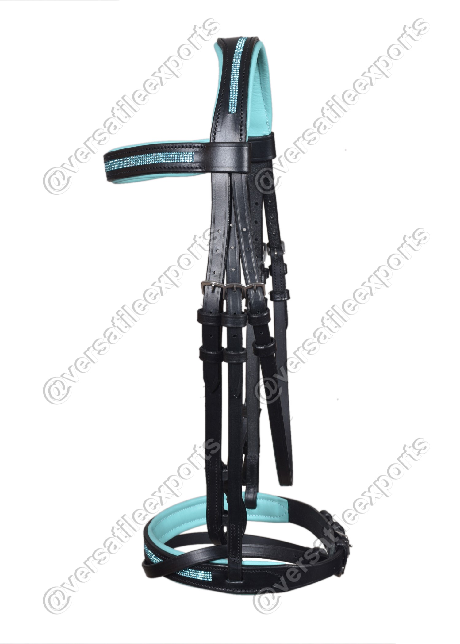 Bridle Shiny